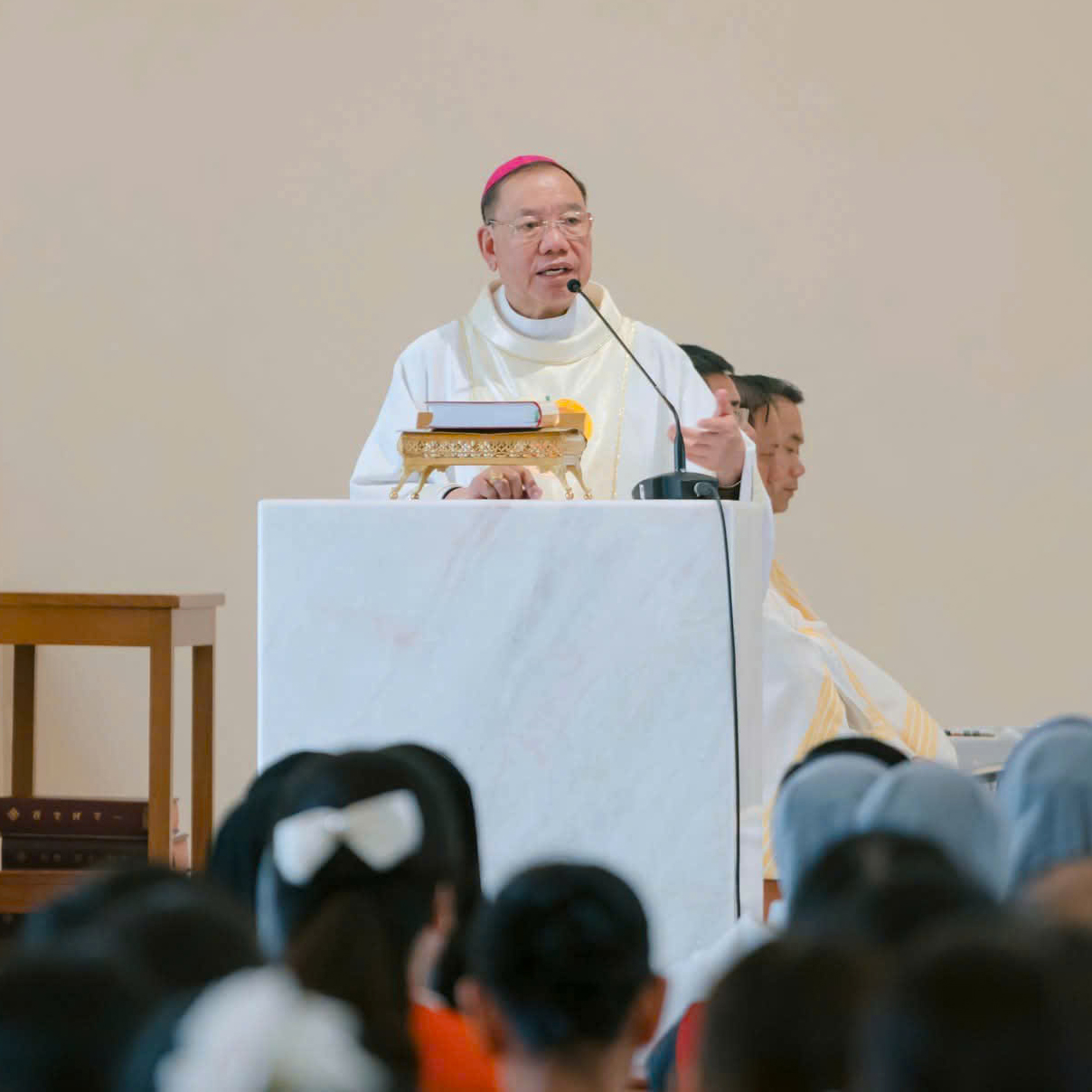 Đức Tổng Giám Mục Giuse Vũ Văn Thiên