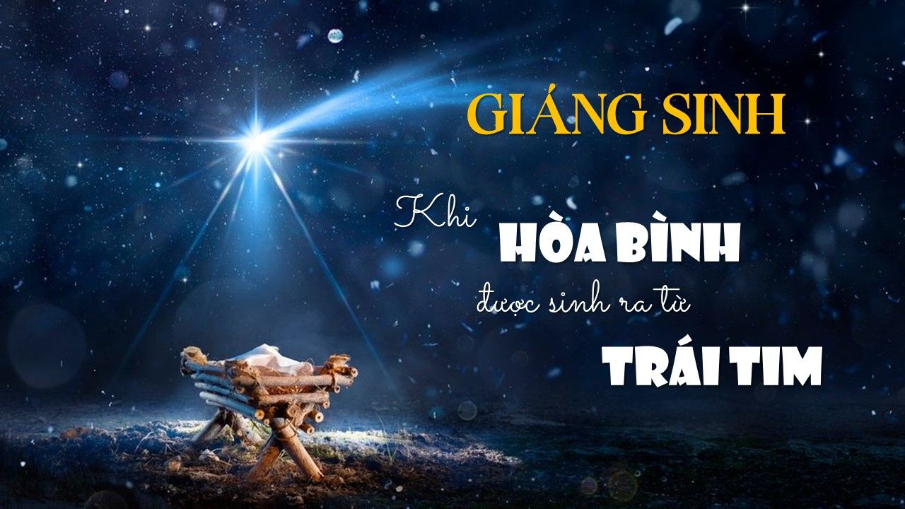 Giáng Sinh   Khi Hòa Bình Được Sinh Ra Từ Trái Tim (2)